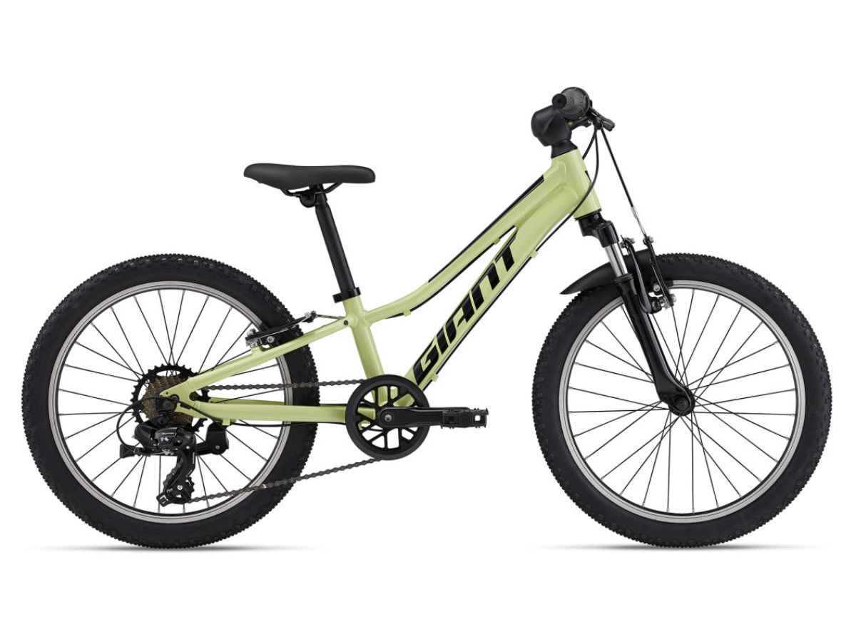 Brame Sports ENFANT GIANT Talon 20